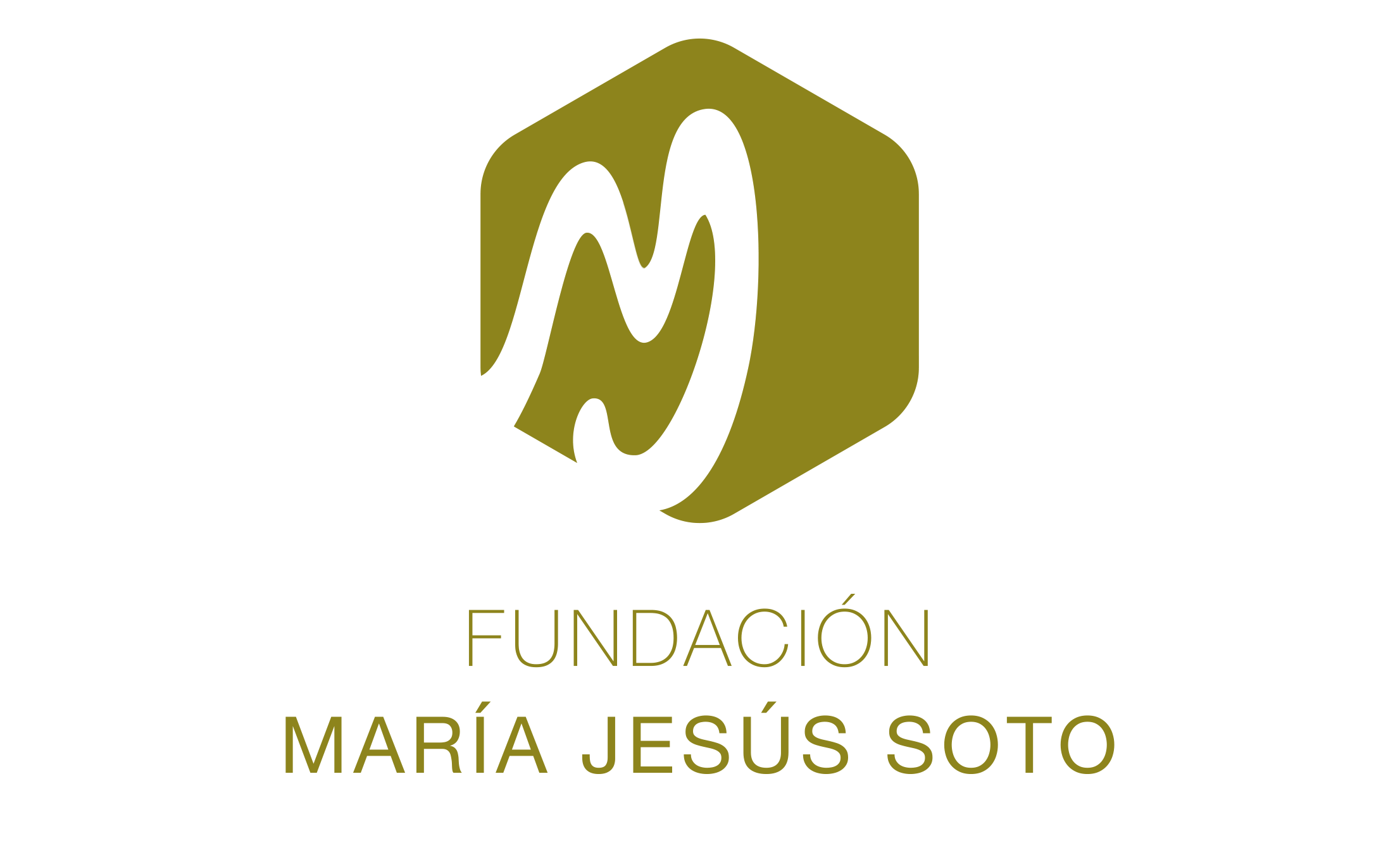 fundacion maria jesus soto